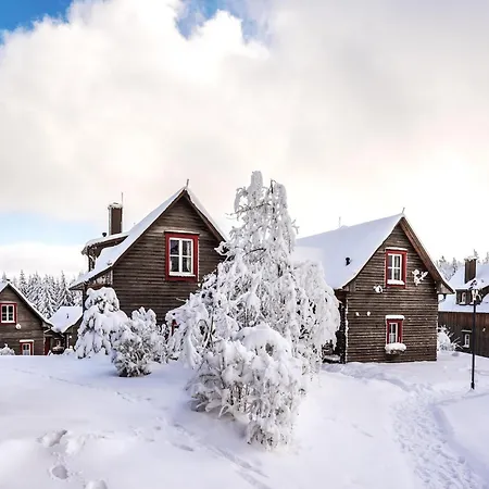 بيت للعطل Ferienhaeuser Im Harzresort, *