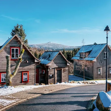 Ferienhaeuser Im Harzresort, 托夫豪斯