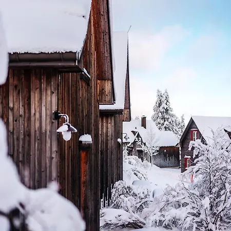 Ferienhaeuser Im Harzresort, *