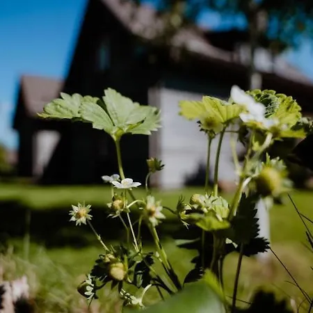بيت للعطل Ferienhaeuser Im Harzresort,