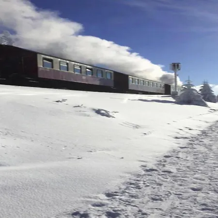 بيت للعطل Ferienhaeuser Im Harzresort, تورفاوس