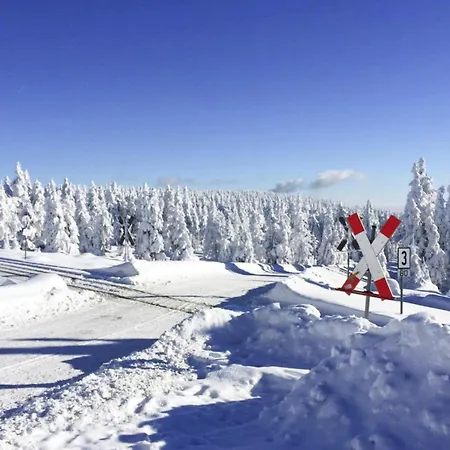 Ferienhaeuser Im Harzresort, بيت للعطل تورفاوس