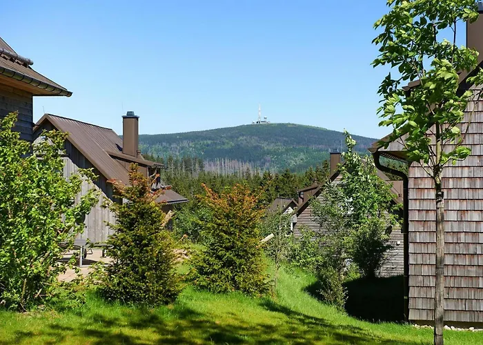 Ferienhaeuser Im Harzresort, * 托夫豪斯