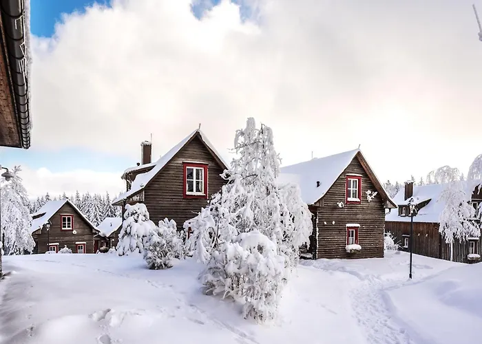 度假居 Ferienhaeuser Im Harzresort, *