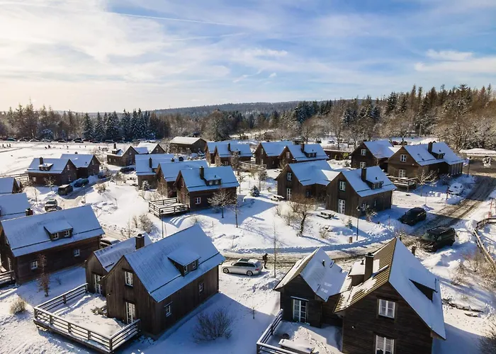 Ferienhaeuser Im Harzresort, * 托夫豪斯