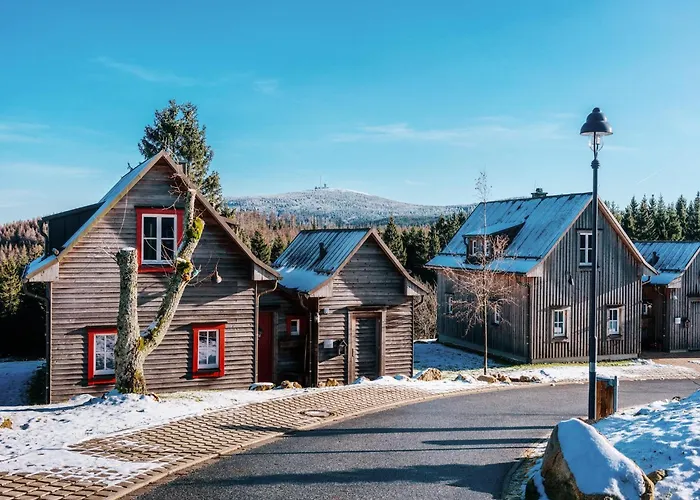 Ferienhaeuser Im Harzresort, 托夫豪斯