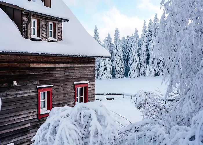 度假居 Ferienhaeuser Im Harzresort, 托夫豪斯