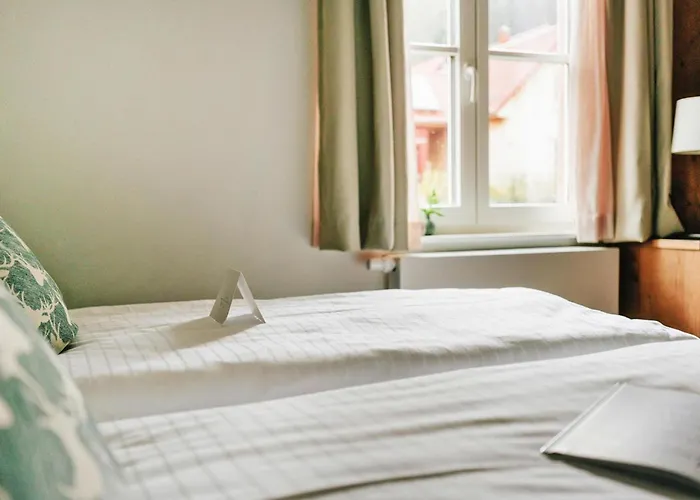 Ferienhaeuser Im Harzresort, * 托夫豪斯