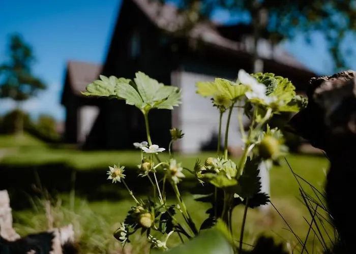 度假居 Ferienhaeuser Im Harzresort,