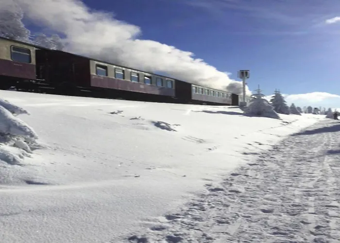 度假居 Ferienhaeuser Im Harzresort, 托夫豪斯